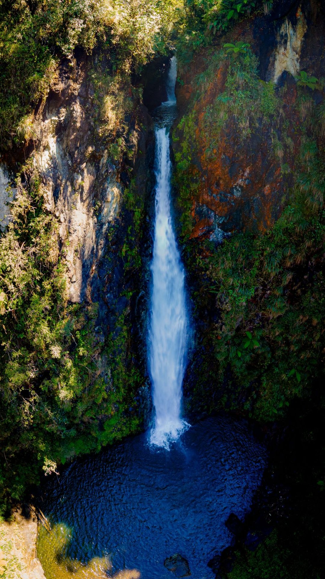 The 60-meter (about 200-foot) Rubel Chaím waterfall plunging through the cloud forest