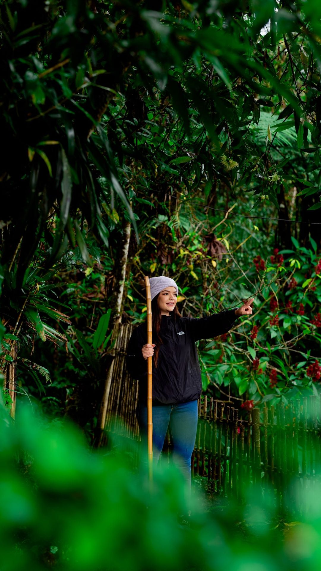 Hiker with a walking stick pointing at the forest canopy